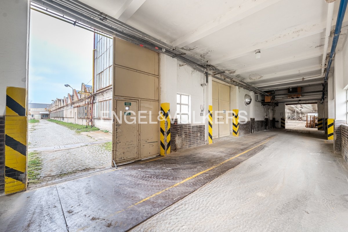 P1144818-HDR_web