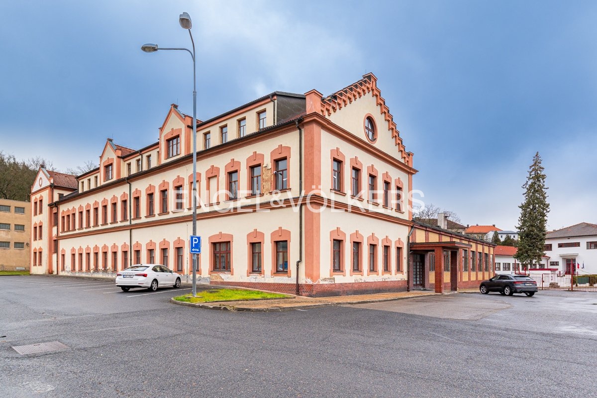 P1167590_web