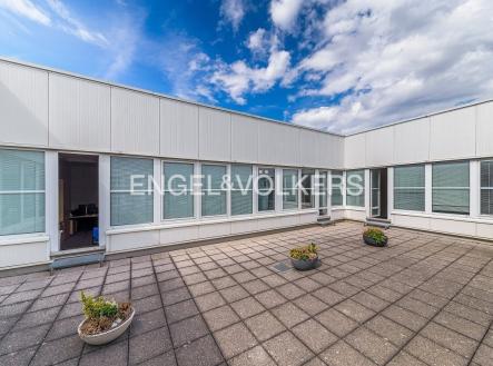 4 | Pronájem - kanceláře, 220 m²