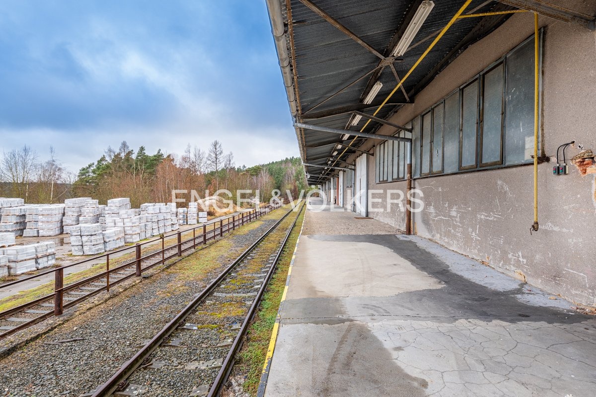 P1167513_web (2)