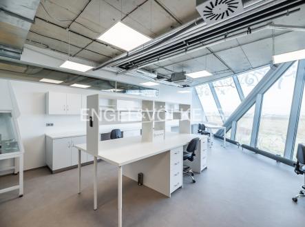 DSC_9403_web | Pronájem - komerční objekt, jiný, 905 m²