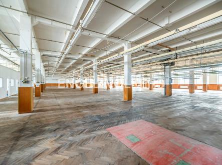 DSC_8896-Enhanced-NR_exposé | Pronájem - komerční objekt, sklad, 8 262 m²