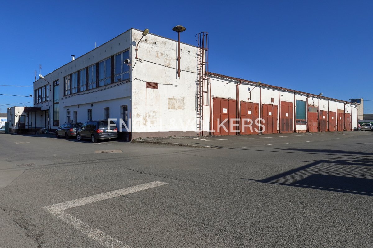 F_0595_A05_5499_web_(1200x800px)