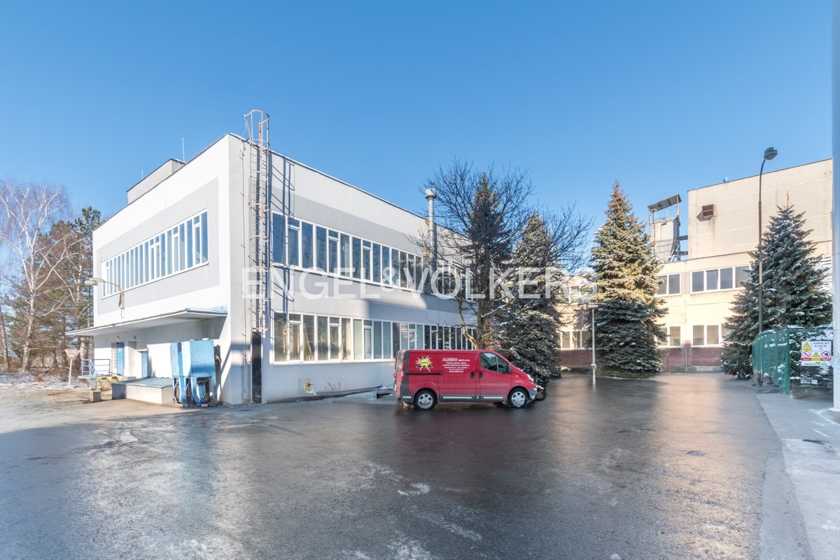 DSC_0358_edit_web (1)