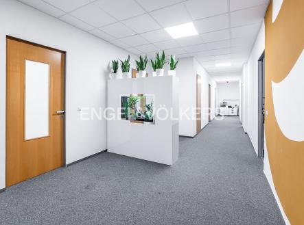 P1289151_web | Pronájem - kanceláře, 110 m²