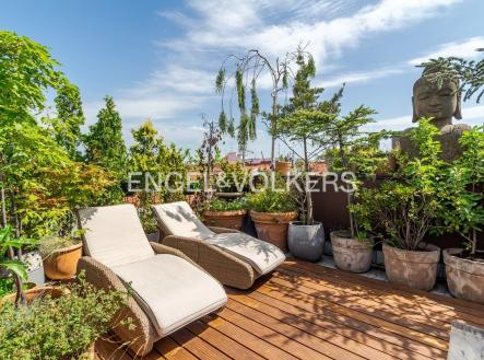 3 | Pronájem bytu, 5+kk, 600 m²