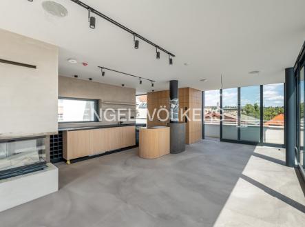2 | Pronájem - dům/vila, 691 m²