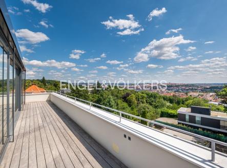 3 | Pronájem - dům/vila, 691 m²