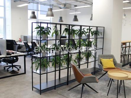 Hall-office-park6 | Pronájem - kanceláře, 300 m²