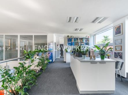 3 | Pronájem - kanceláře, 252 m²