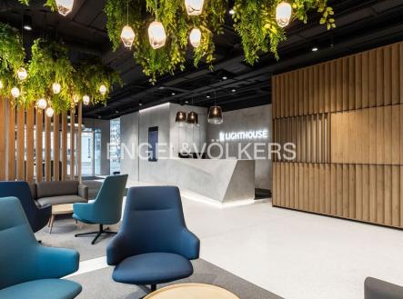 Recepce | Pronájem - kanceláře, 478 m²