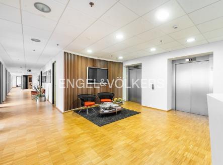 2 | Pronájem - kanceláře, 330 m²