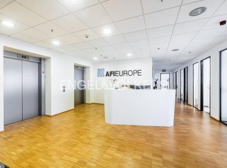 3 | Pronájem - kanceláře, 330 m²