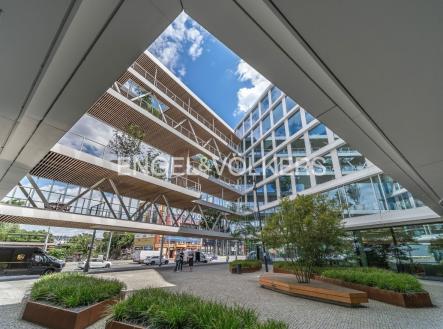 3 | Pronájem - kanceláře, 595 m²