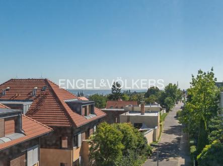 4 | Pronájem - dům/vila, 316 m²