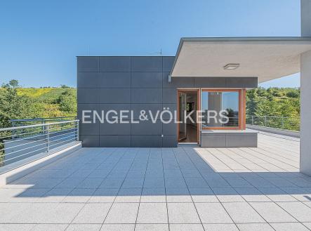 4-DSC_3570-HDR-Edit | Pronájem - dům/vila, 330 m²