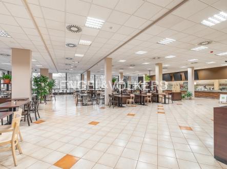 DSC_0559_web | Pronájem - kanceláře, 1 891 m²