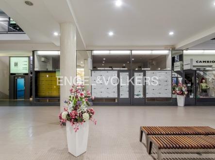 IMG_4243_web | Pronájem - obchodní prostor, 77 m²