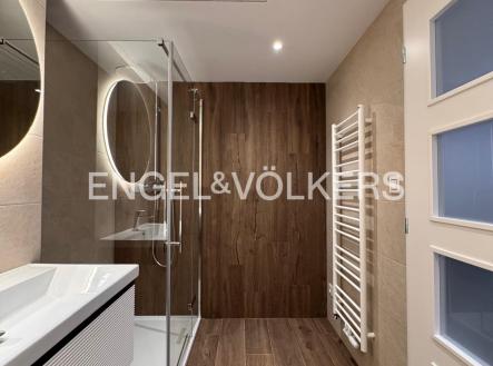 e74e8e81-6987-4d43-bdab-2d128f8e9c8b | Pronájem bytu, 1+kk, 50 m²