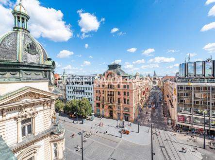 3 | Pronájem - kanceláře, 231 m²