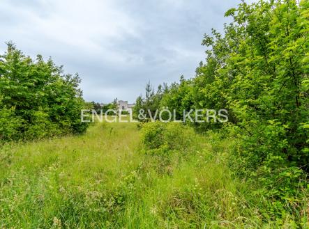 DSC_0002 | Pronájem - pozemek pro komerční výstavbu, 30 283 m²