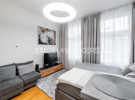 DSC_3596_web | Pronájem bytu, 1+kk, 30 m²