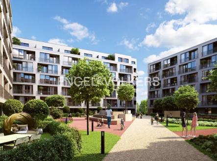 5 (12) | Pronájem - obchodní prostor, 156 m²