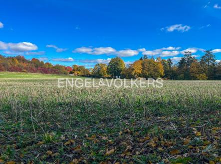 IMG_5144_exposé | Prodej - pozemek, zemědělská půda, 197 000 m²