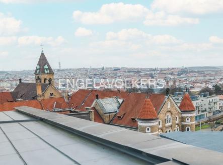 P1455790 kopie_web (1) | Pronájem bytu, 4+kk, 165 m²