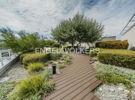 3 | Pronájem - kanceláře, 311 m²