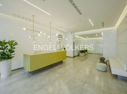4 | Pronájem - kanceláře, 311 m²