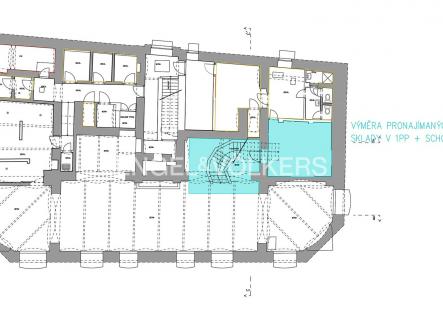 1PP (2) | Pronájem - obchodní prostor, 181 m²