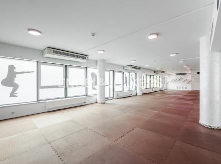 3 | Pronájem - obchodní prostor, 360 m²