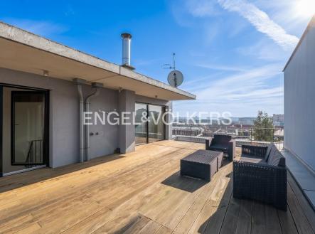 3 | Pronájem - dům/vila, 259 m²