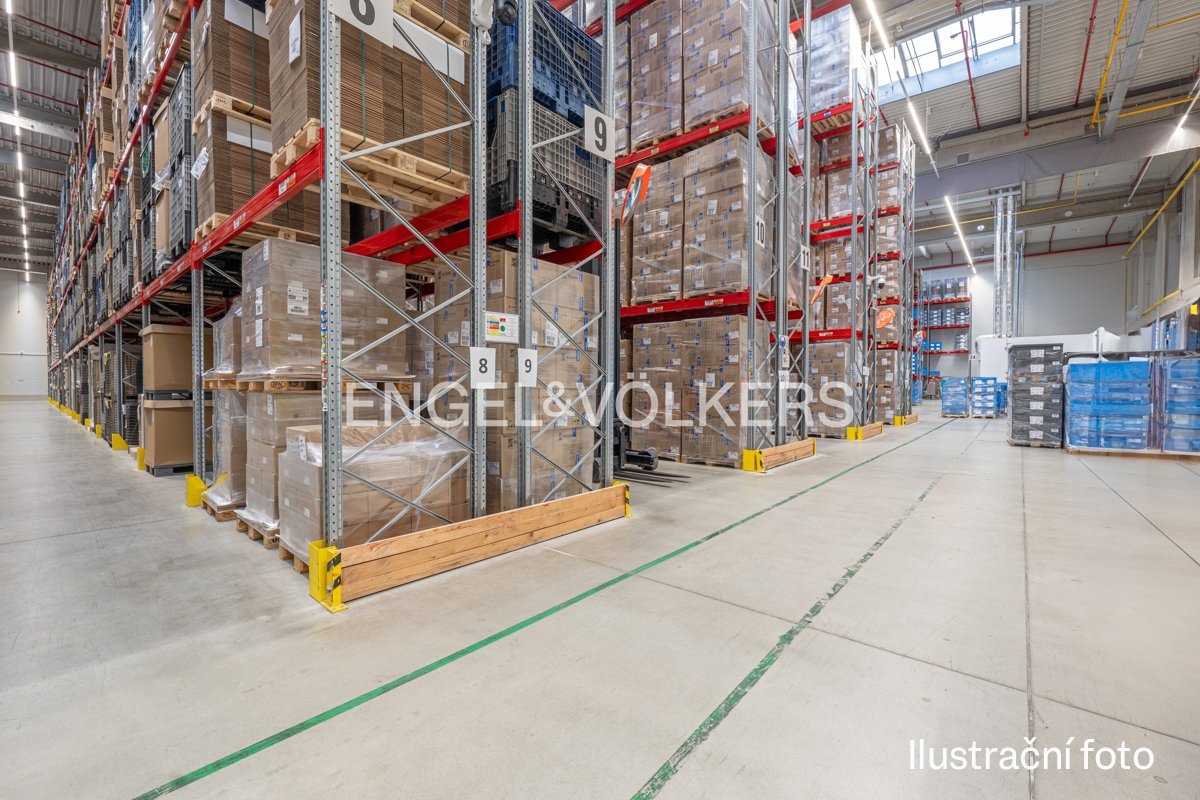 P1145107-Edit_web (2)