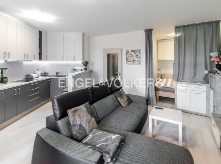 DSC_0108_web | Pronájem bytu, 1+kk, 47 m²