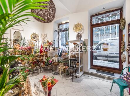 DSC_3299_web | Pronájem - obchodní prostor, 93 m²