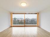 Pronájem bytu, 4+kk, 101 m²