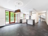 Pronájem - dům/vila, 320 m²