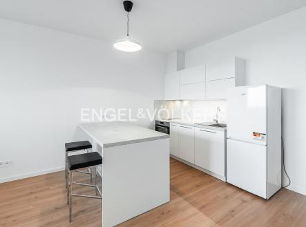 DSC_1214_web | Pronájem bytu, 1+kk, 44 m²