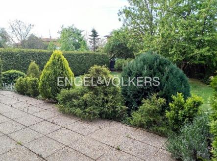Soubezna I 47 web (27) | Pronájem - dům/vila, 300 m²