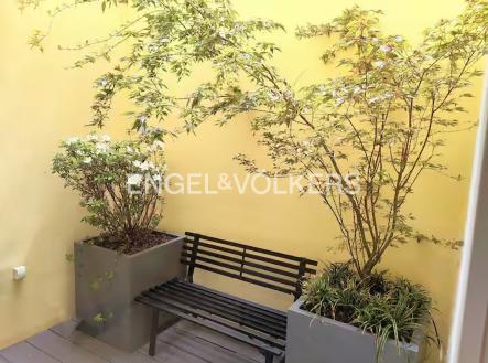 397a6c47-810e-4d01-8b40-1e96ef1748bf_e_web | Pronájem bytu, 1+kk, 38 m²