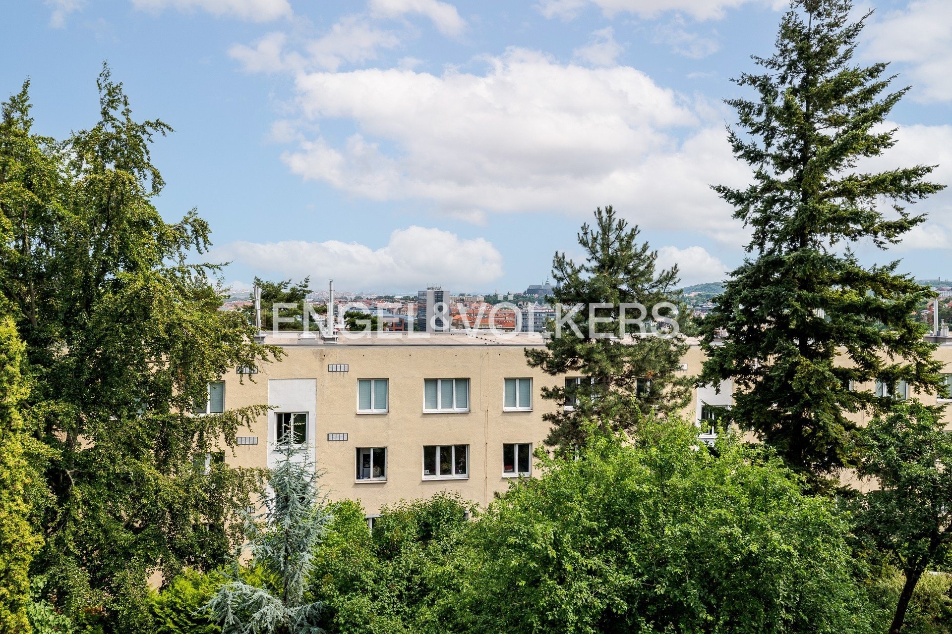 P1601519-Edit_web