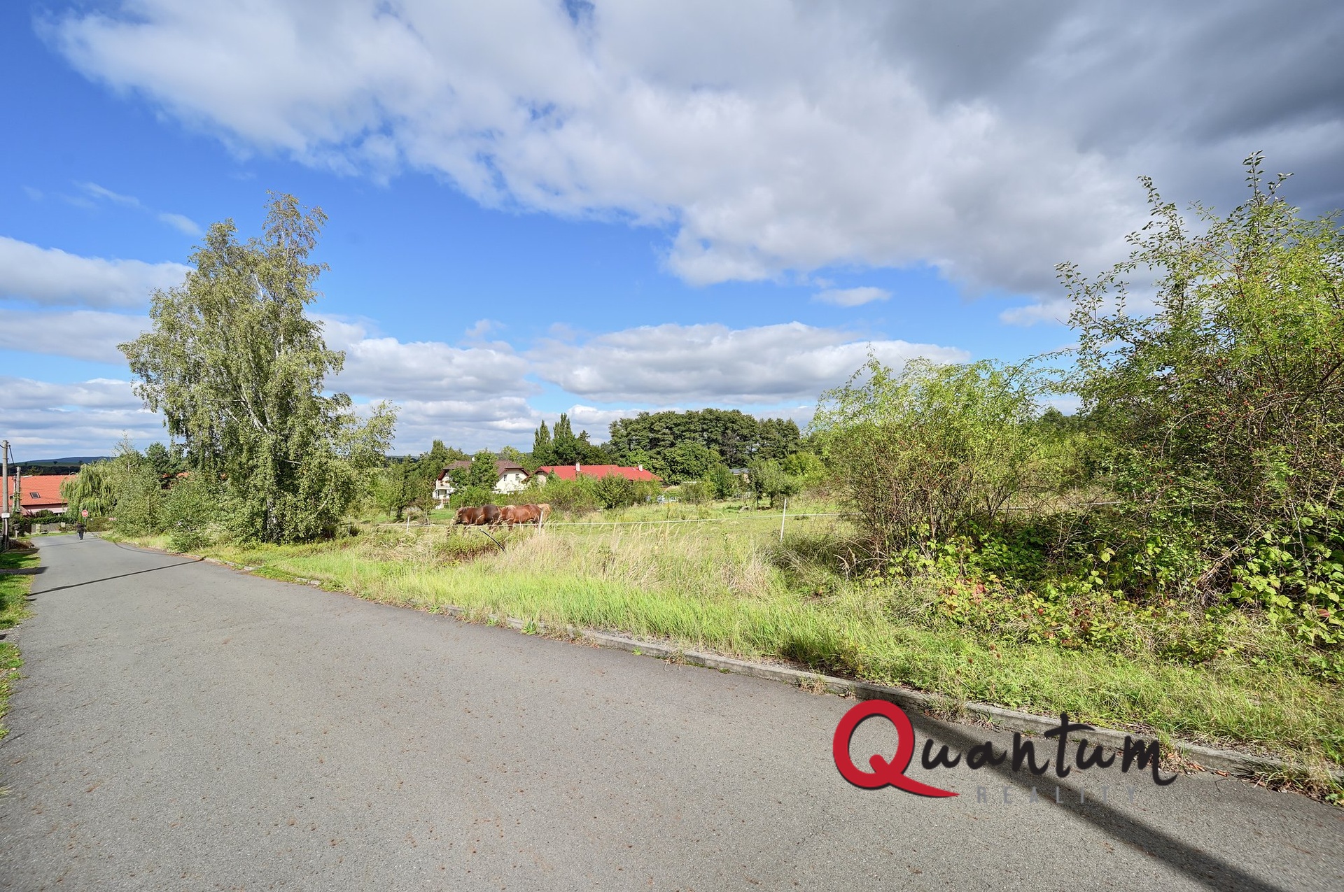 DSC_5339_00001And2more_Fusion-Natural