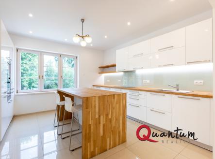 6X3A2732 | Pronájem - dům/vila, 320 m²