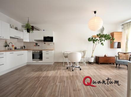 IMG_1094 | Pronájem bytu, 1+kk, 47 m²