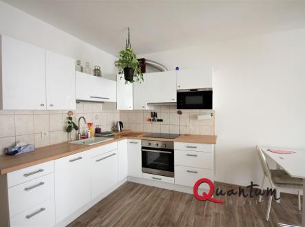 IMG_1092 | Pronájem bytu, 1+kk, 47 m²