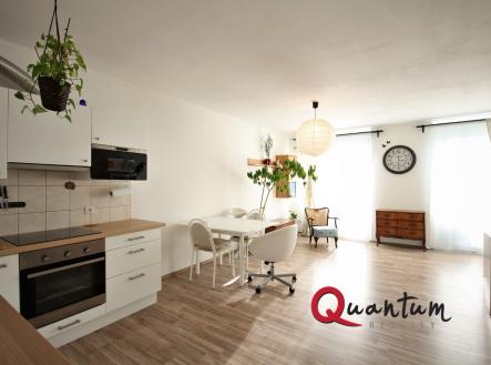 IMG_1083 | Pronájem bytu, 1+kk, 47 m²