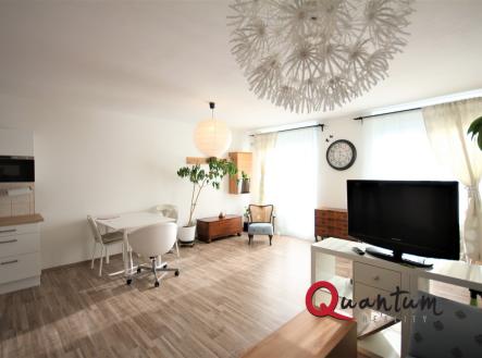 IMG_1091 | Pronájem bytu, 1+kk, 47 m²