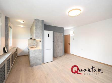 DSC_5182_00001 | Pronájem bytu, 1+kk, 36 m²